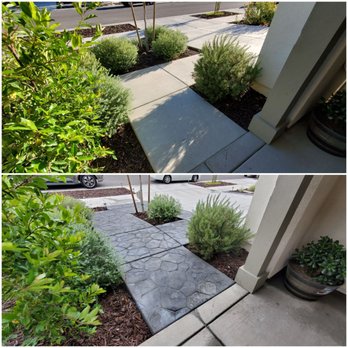 Bella Vista Landscape - Landscaping Near Me