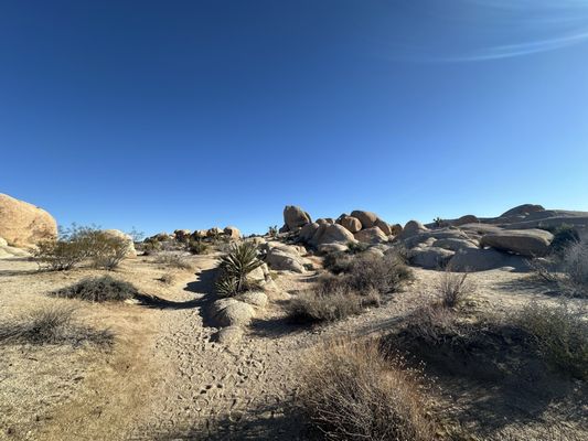 White Tank Campground by null