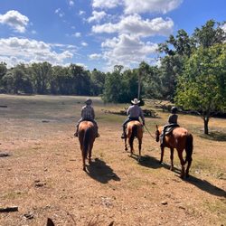 Gus Trent Horse Ranch