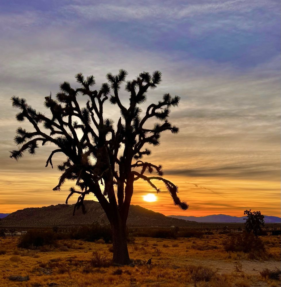 Saddleback Butte State Park Logo
