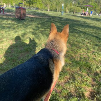 Rosedale Park - Dog Parks Near Me - Pennington, New Jersey Rosedale Park - Dog Parks Near Me - Pennington, New Jersey