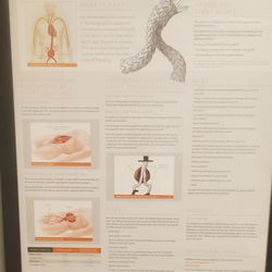 Joseph D Vijungco, MD - Discover Vein & Vascular