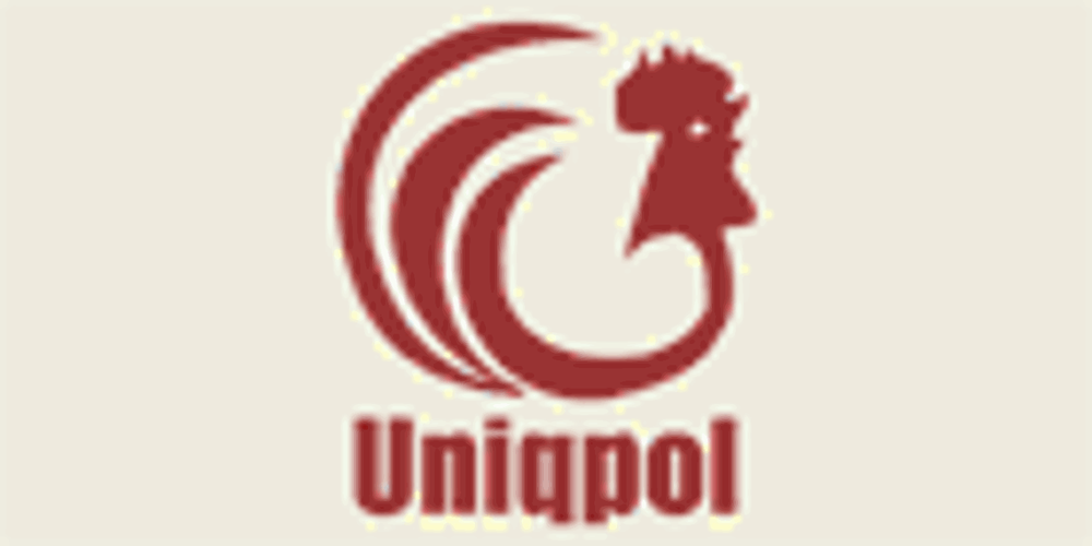 UNIQPOL Updated September 2024 21 Middleton Street, Brantford