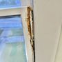 Photo of Century Glazing