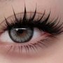 Photo of Splendid Lash