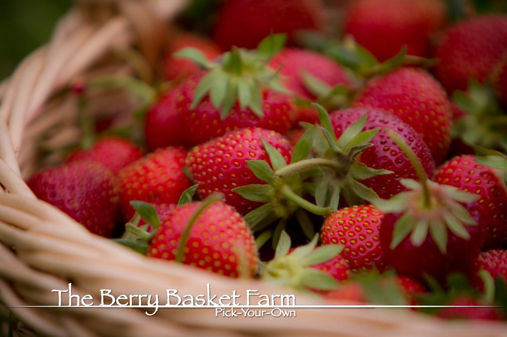 THE BERRY BASKET FARM Updated July 2024 19 Photos 2683 Hwy 1 SW