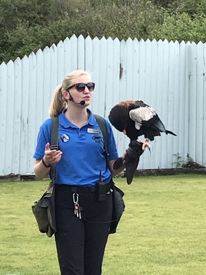 Aillwee Burren Experience by null