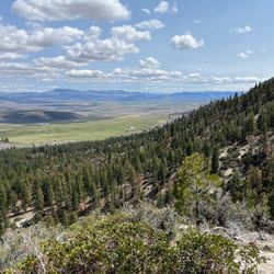 Carson Valley Trails