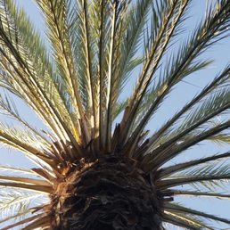 How beautiful is this from my sun roof? I feel like I am in paradise far away How beautiful is this from my sun roof? I feel like I am in paradise far away