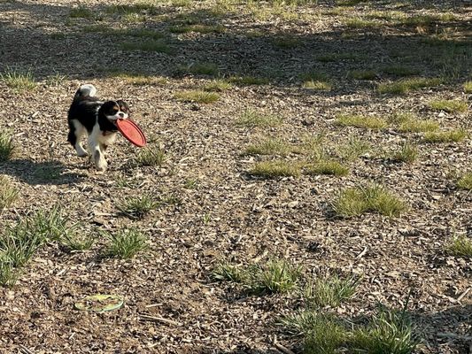 LaPine State Park by null