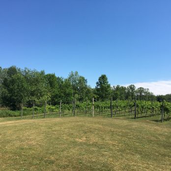 Simon Creek Vineyard & Winery - Wineries Near Me - Sturgeon Bay, Wisconsin Simon Creek Vineyard & Winery - Wineries Near Me - Sturgeon Bay, Wisconsin