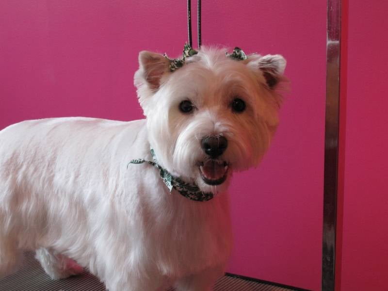 THE LITTLE M GROOM SHOPPE Updated August 2024 11 Photos 762 The