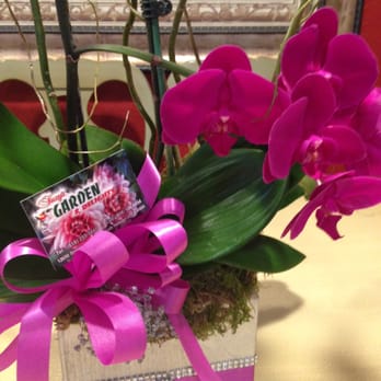Suzy's Garden - Florists Near Me - North Hollywood, California