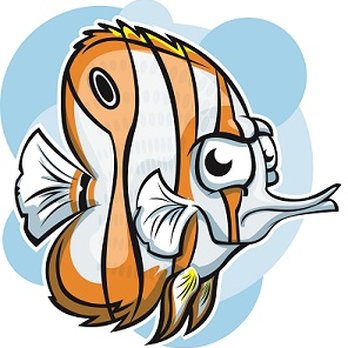 The Fish Tank - Local Fish Stores Near Me - Sandy, Utah The Fish Tank - Local Fish Stores Near Me - Sandy, Utah