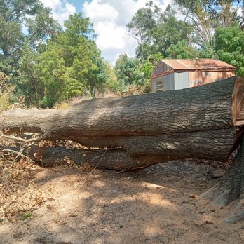 Wilkerson's Tree Service - Tree Services Near Me - Whitehouse, Texas
