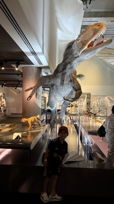 Patricia and Phillip Frost Art Museum by null