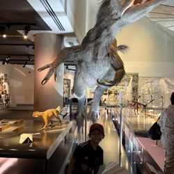 Frost Art Museum - Dinosaurios