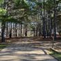 Photo of Rusk KOA Holiday