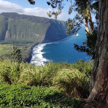 Waipi’o Valley Lookout - Hiking Near Me - Honokaa, Hawaii Waipi’o Valley Lookout - Hiking Near Me - Honokaa, Hawaii