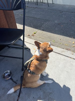 Cafe Nooner - Fresh Good Food by null