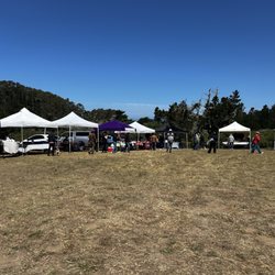 Farmers Market in Bodega Bay - Nice little market with just about everything.