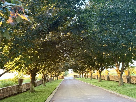 The Kitchen at Abeja by null