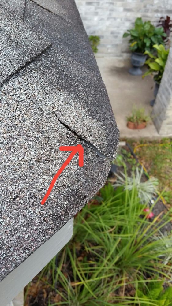 Slide of Doozy Roofs