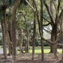 Photo of Bicentennial Park