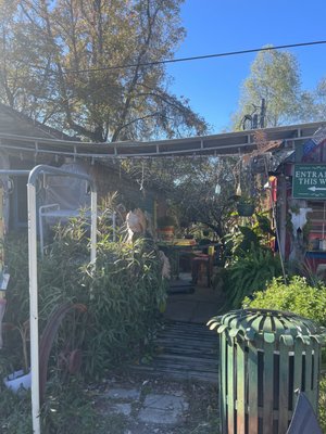 The Tomato Place by null