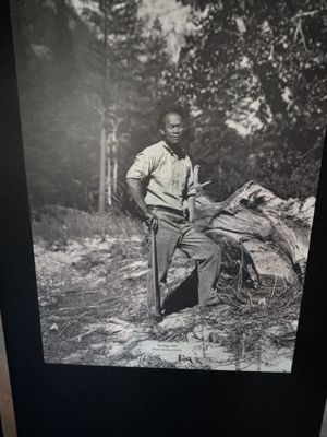 Yosemite History Center by null