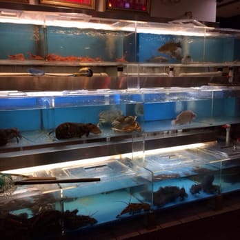 Jumbo Seafood Restaurant - Sea aquarium - Seafood Near Me - Boston, Massachusetts Jumbo Seafood Restaurant - Sea aquarium - Seafood Near Me - Boston, Massachusetts