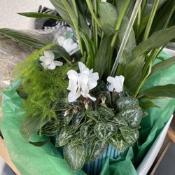 In Full Bloom Container Gardens