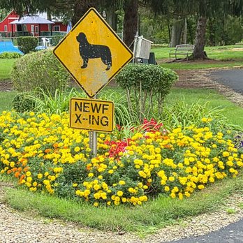 Grago Lawn Care - Flower beds included - Landscaping Near Me