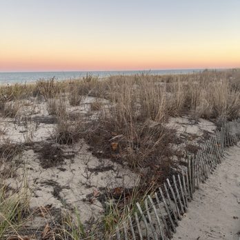 Rehoboth Beach - Dunes at Dusk - Beaches Near Me - Rehoboth Beach, Delaware