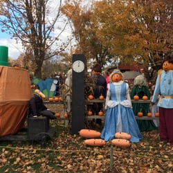 Iron Kettle Farm - Cinderella
