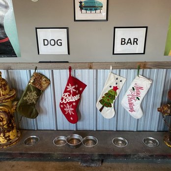 Eastpoint Beer Company  - Dog Friendly .....clearly! - Breweries Near Me - Eastpoint, Florida