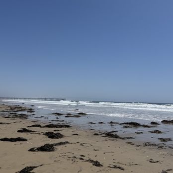 Pismo State Beach - Lots of seaweed - Beaches Near Me - Oceano, California Pismo State Beach - Lots of seaweed - Beaches Near Me - Oceano, California