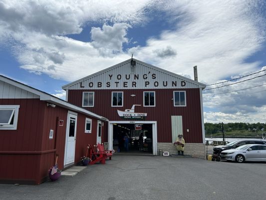 Young's Lobster Pound by null