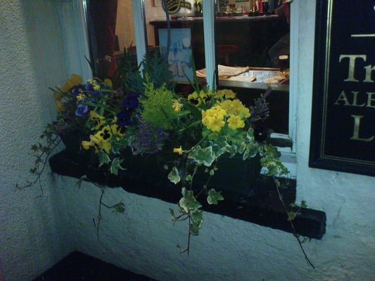 Hare & Hounds by null