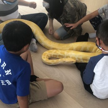 PUPPIES AND REPTILES FOR PARTIES - Updated June 2024 - 150 Photos & 133