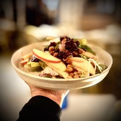 Lovina - Apple & Mixed Greens Salad