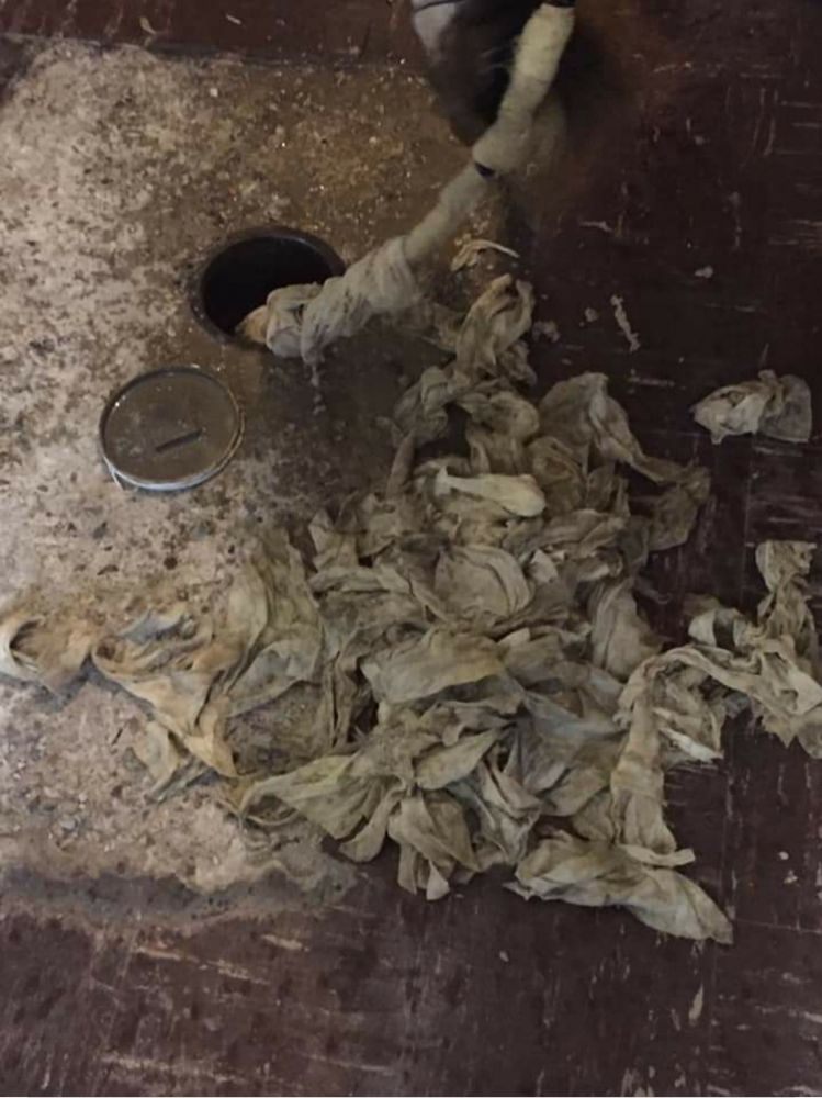 Slide of Fast Drain Cleaning