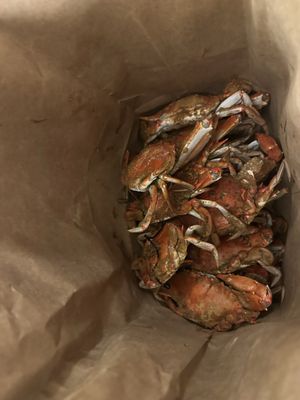 On the Bay Seafood by null