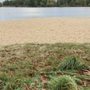 Photo of Allersee