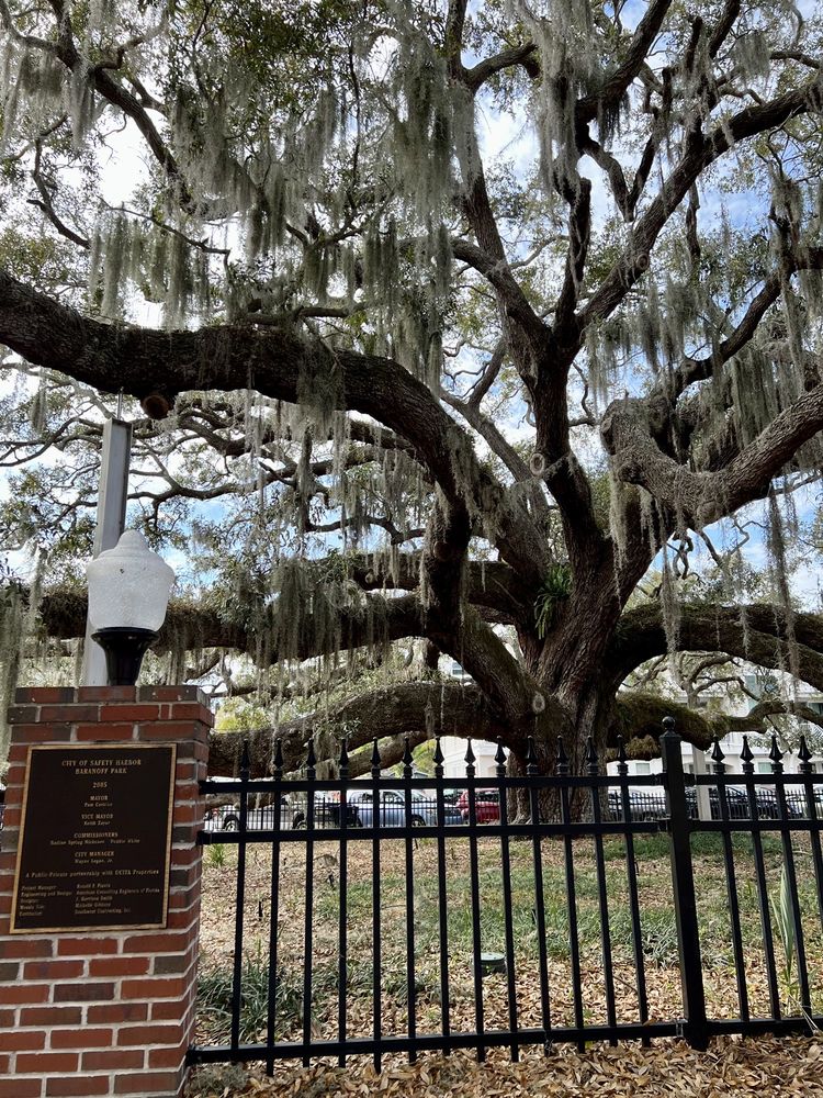 BARANOFF PARK 21 Photos 101 2nd St N, Safety Harbor, Florida