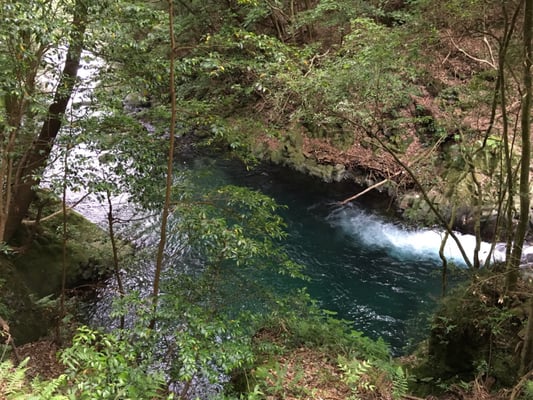 Kawazu Seven Waterfalls by null