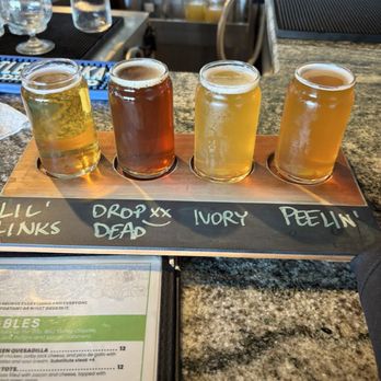 Brew Link Brewing - Flight - Breweries Near Me - Plainfield, Indiana