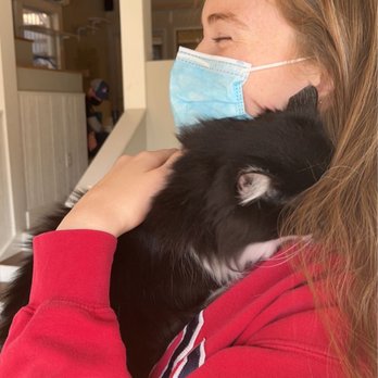 Gem City Catfé - Cute photo with oreo - Coffee & Tea Near Me - Dayton, Ohio