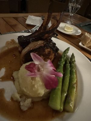 Butterfly Café by null