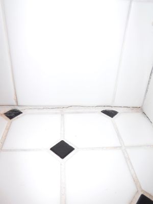 Piccirillo Enterprises